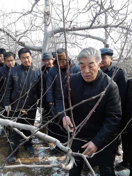 蘋果專家伍孝賢現場培訓蘋果樹的修剪與栽培技術